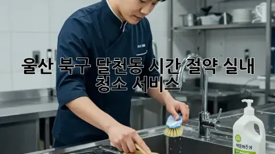 울산 북구 달천동 시간 절약 실내 청소 서비스