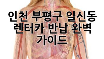 인천 부평구 일신동 렌터카 반납: 완벽 가이드